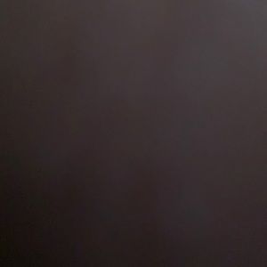 Meet your Posher, Annie